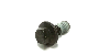 Image of Flange Screw. Gearbox, Automatic. M6x14. Transmission Cooling. image for your Volvo V60 Cross Country  